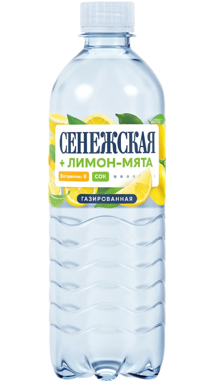 Сенежская фруктовая вода 0,5л пэт
